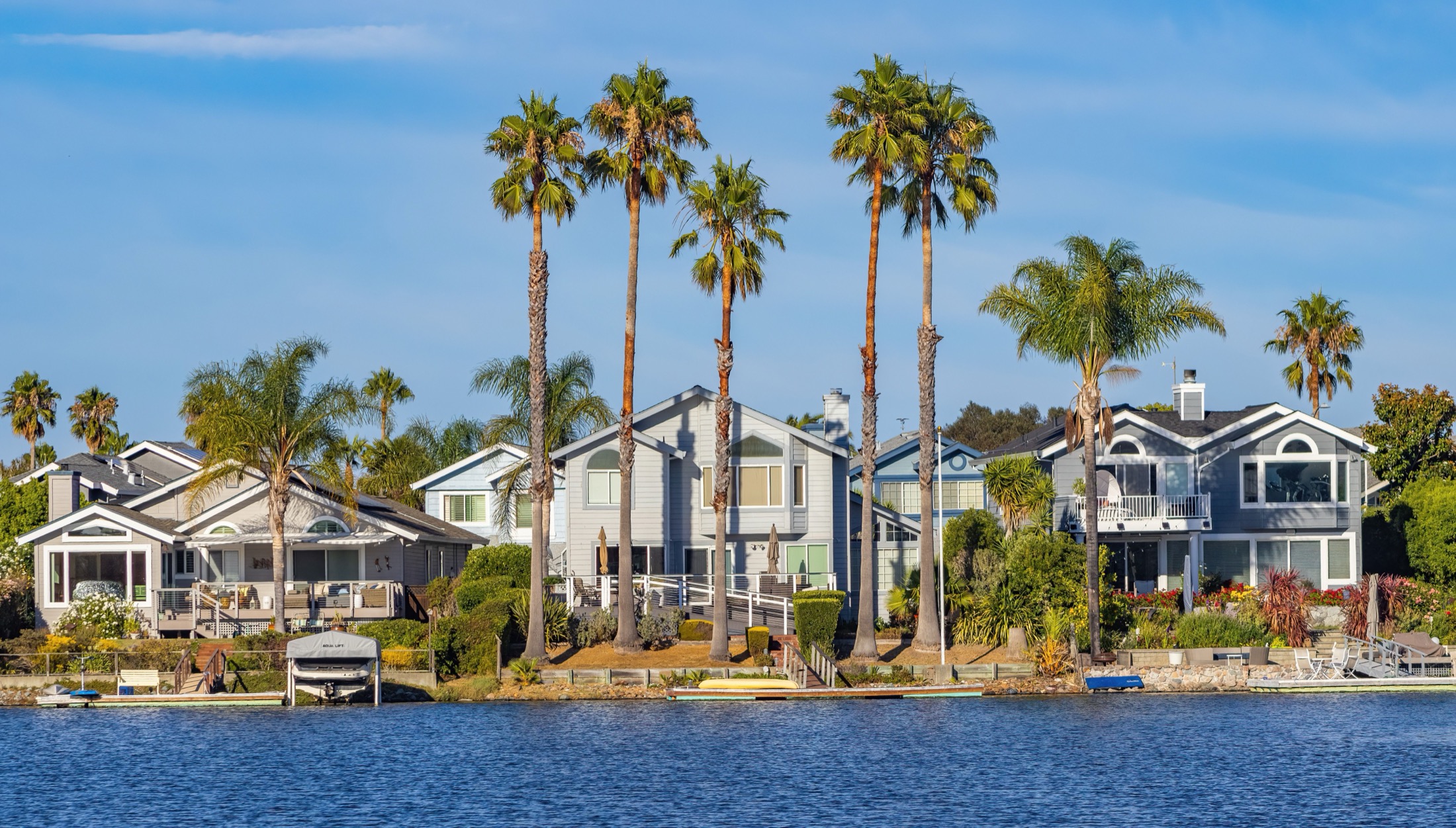 A sunny waterfront neighborhood with palm trees